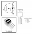 Tranzystor-N-MOSFET-IRFZ44N-94W-49A-55V-TO220-schemat