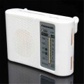 Zestaw-do-montazu-Kit-Radio-FM-AM-CF210SP